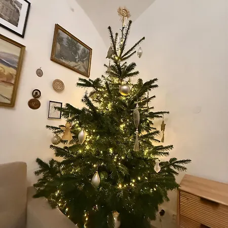 Location In The Centre Of Old Town *